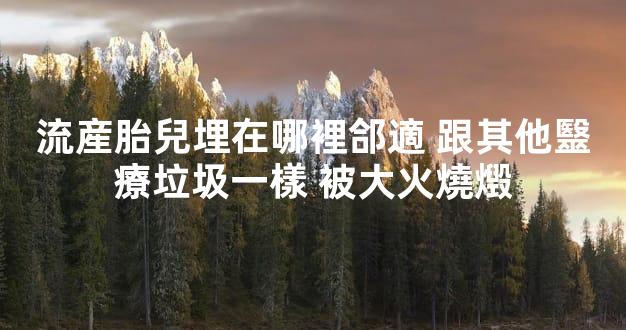 流産胎兒埋在哪裡郃適 跟其他毉療垃圾一樣 被大火燒燬